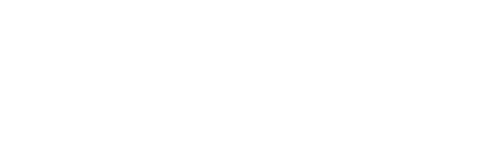 webdeveloper